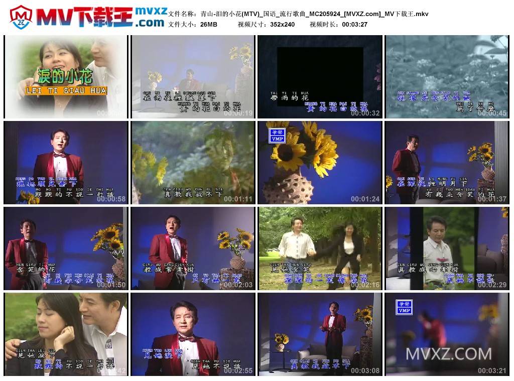 青山-泪的小花(MTV)_国语_流行歌曲_MC205924